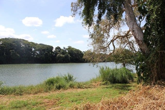 120 Eddleston Drive, CORDELIA QLD 4850, Cordelia - Thumbnail 2