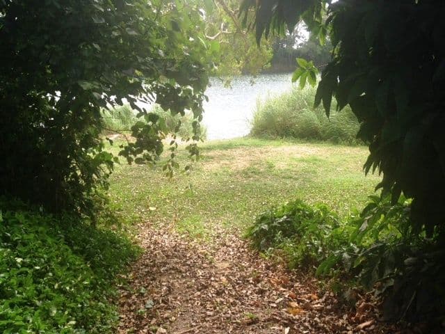 120 Eddleston Drive, CORDELIA QLD 4850, Cordelia - Thumbnail 6