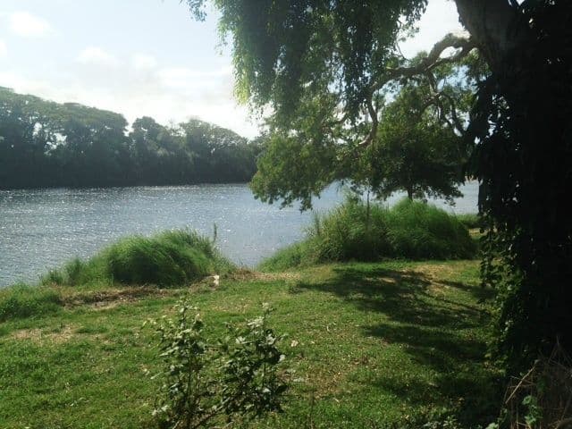 120 Eddleston Drive, CORDELIA QLD 4850, Cordelia - Thumbnail 7