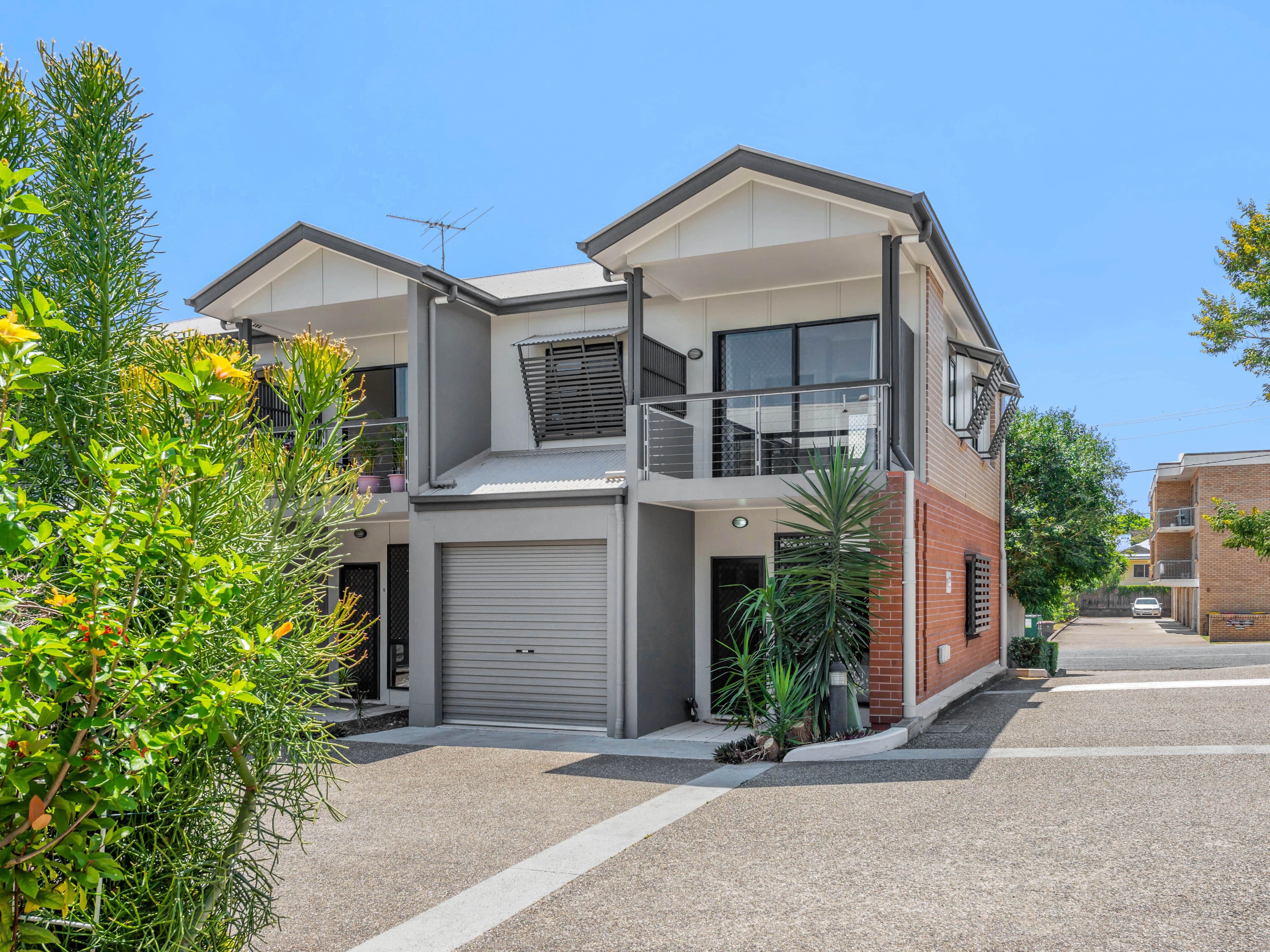 11 Cardross Street, Yeronga QLD 4104, Yeronga - Thumbnail 3