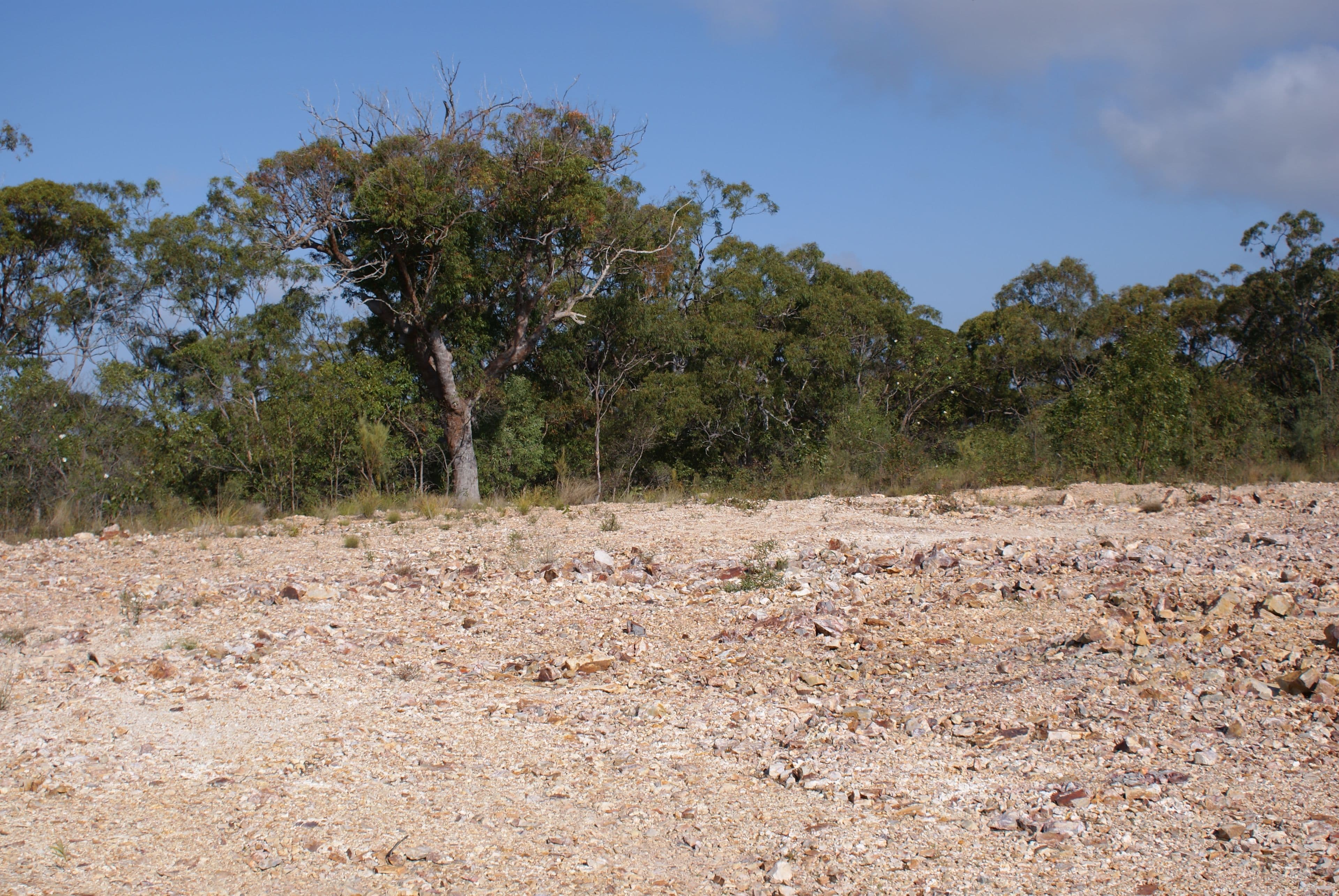 58 Rafting Ground Road, Agnes Water QLD 4677, Agnes Water - Thumbnail 2