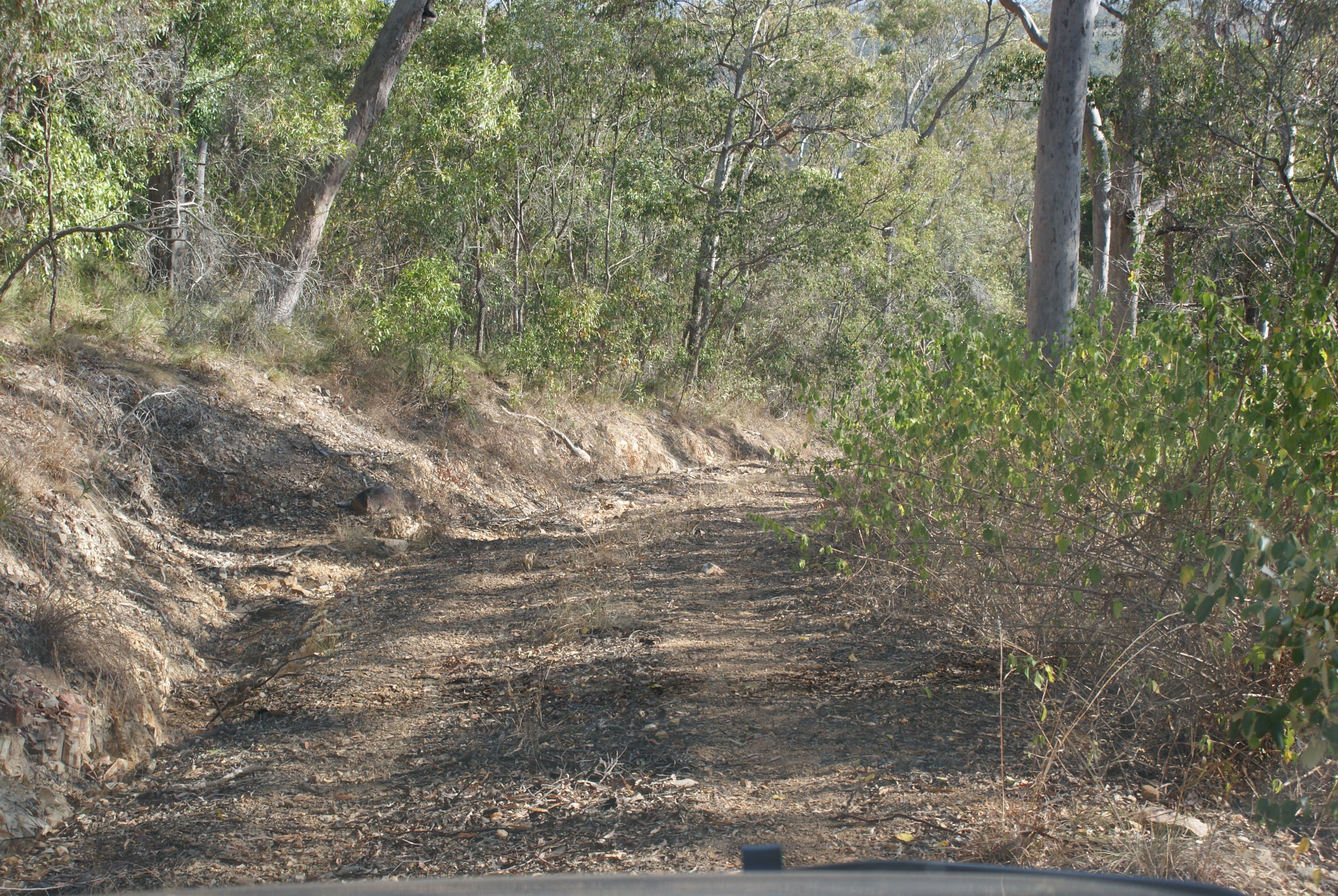 58 Rafting Ground Road, Agnes Water QLD 4677, Agnes Water - Thumbnail 7