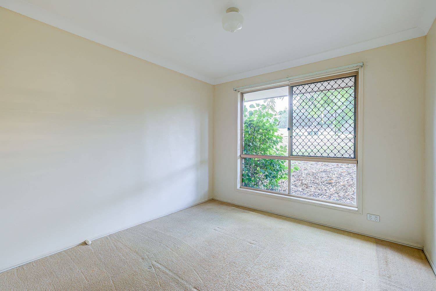 81 Castile Crescent, Edens Landing QLD 4207, Edens Landing - Thumbnail 7