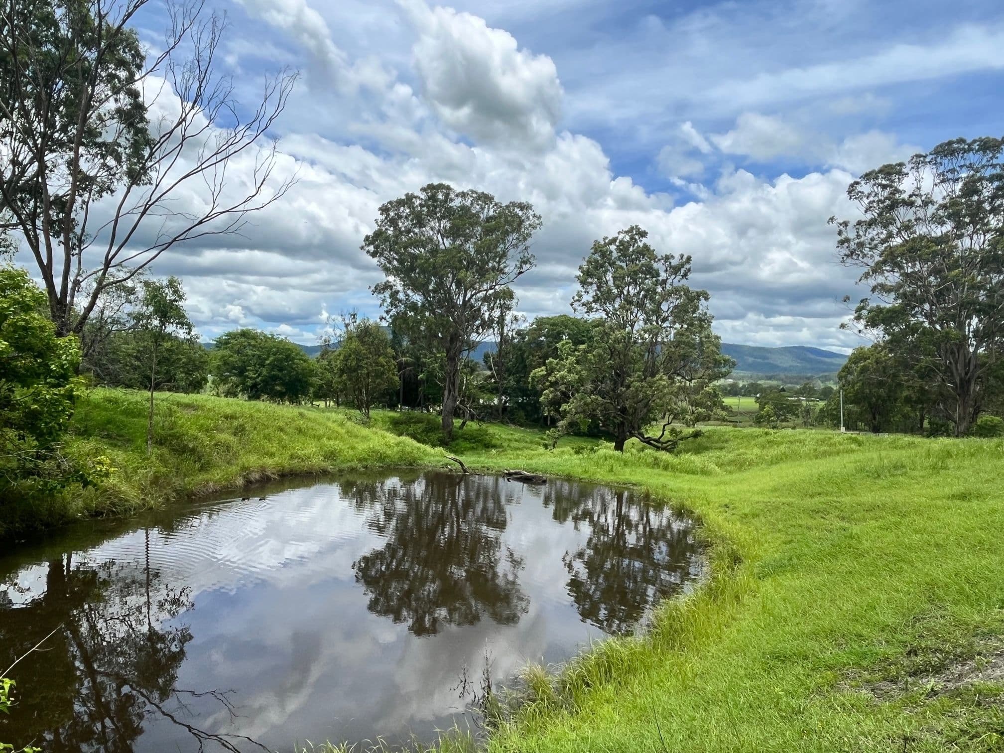 956 Kerry Road, Kerry QLD 4285, Kerry - Thumbnail 4
