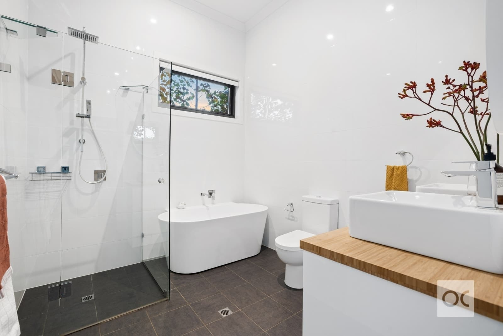 18 Rayne Avenue, Linden Park - Thumbnail 4