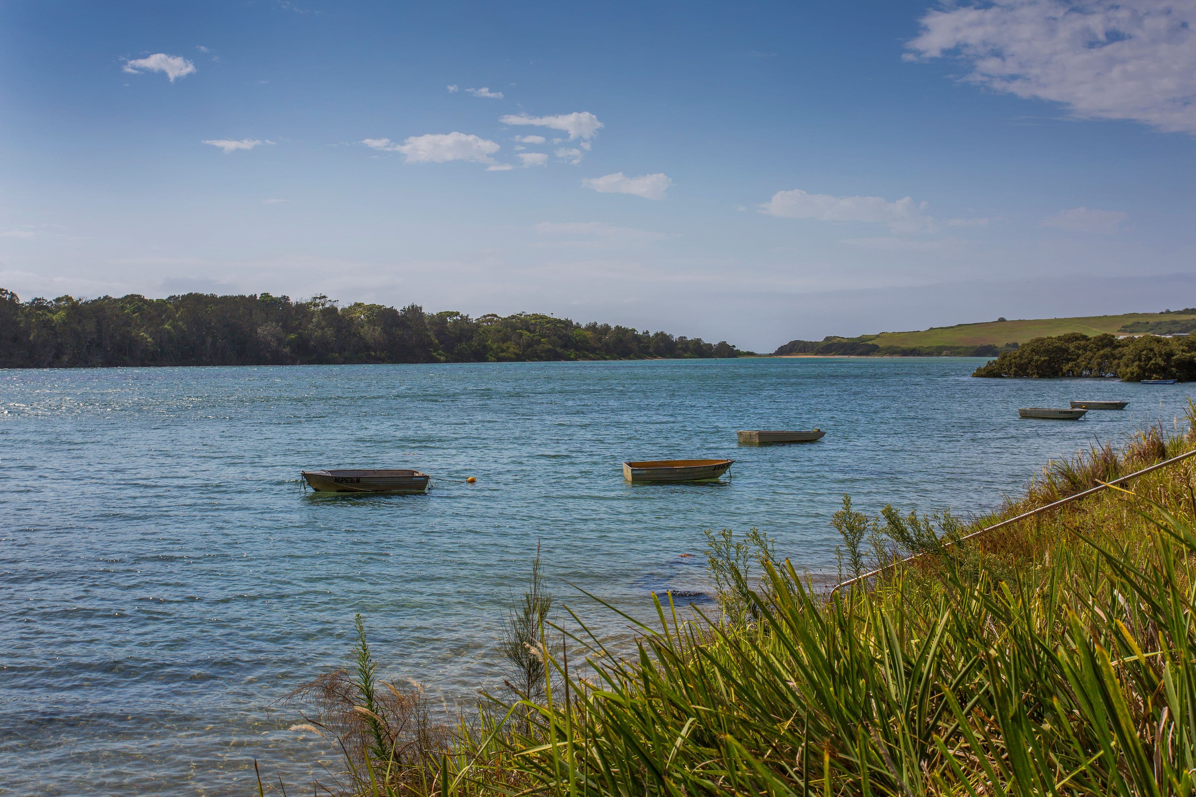 50 Charles Avenue, Minnamurra - Thumbnail 2