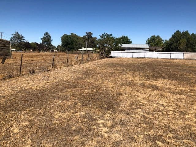 Lot 6 Market Street, Walla Walla NSW 2659, Walla Walla - Thumbnail 4