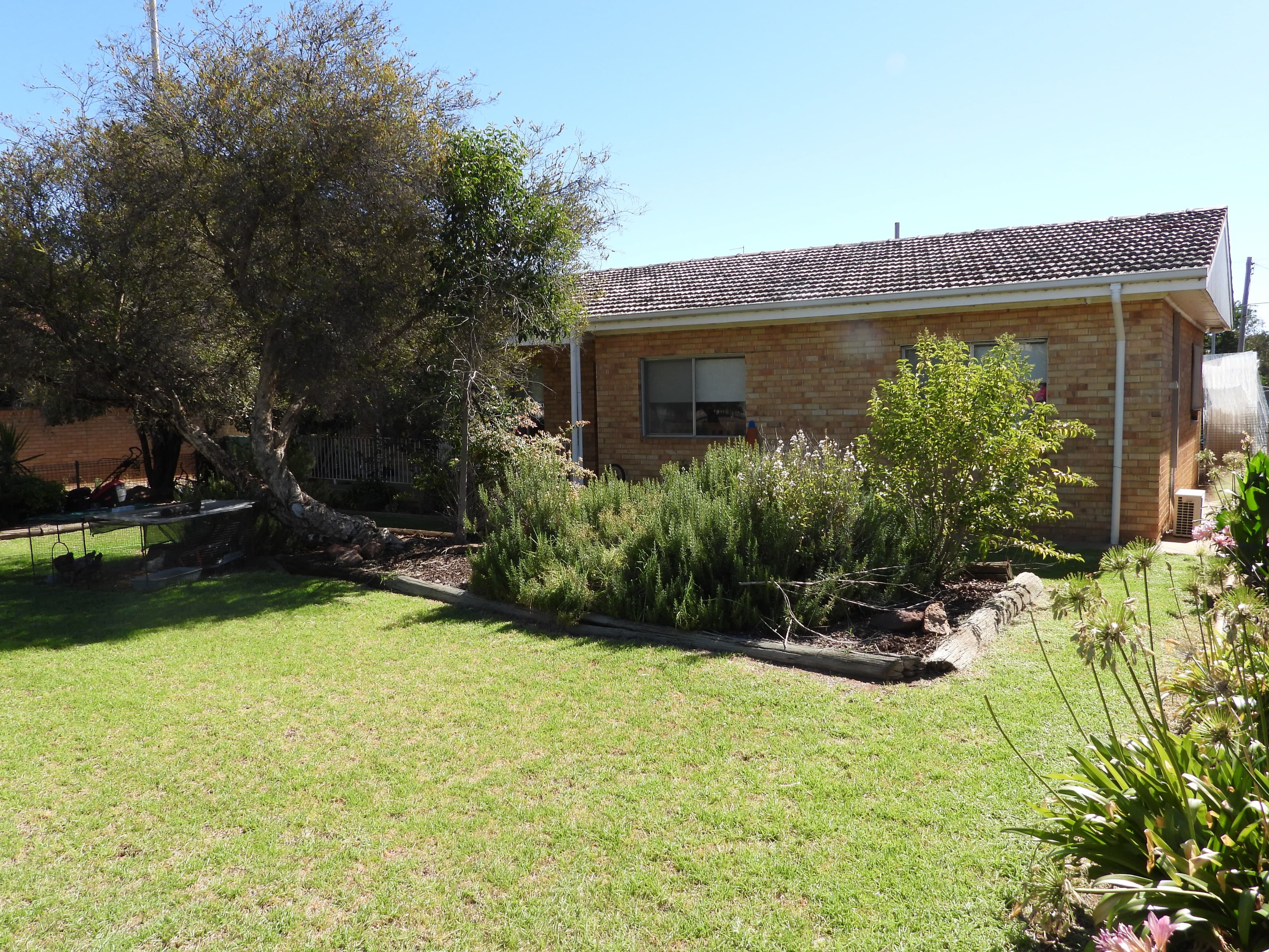 13 Carrington Street, Darlington Point NSW 2706, Darlington Point - Thumbnail 3