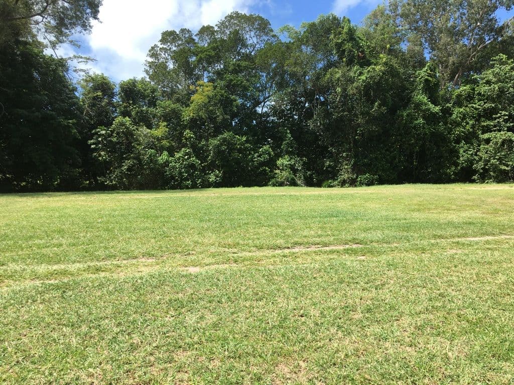 36 Ives Avenue, WONGA BEACH QLD 4873, Wonga Beach - Thumbnail 4