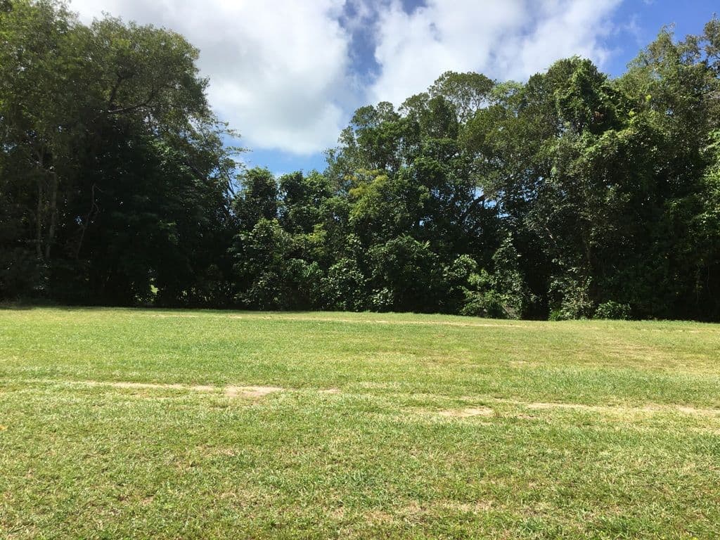 36 Ives Avenue, WONGA BEACH QLD 4873, Wonga Beach - Thumbnail 5