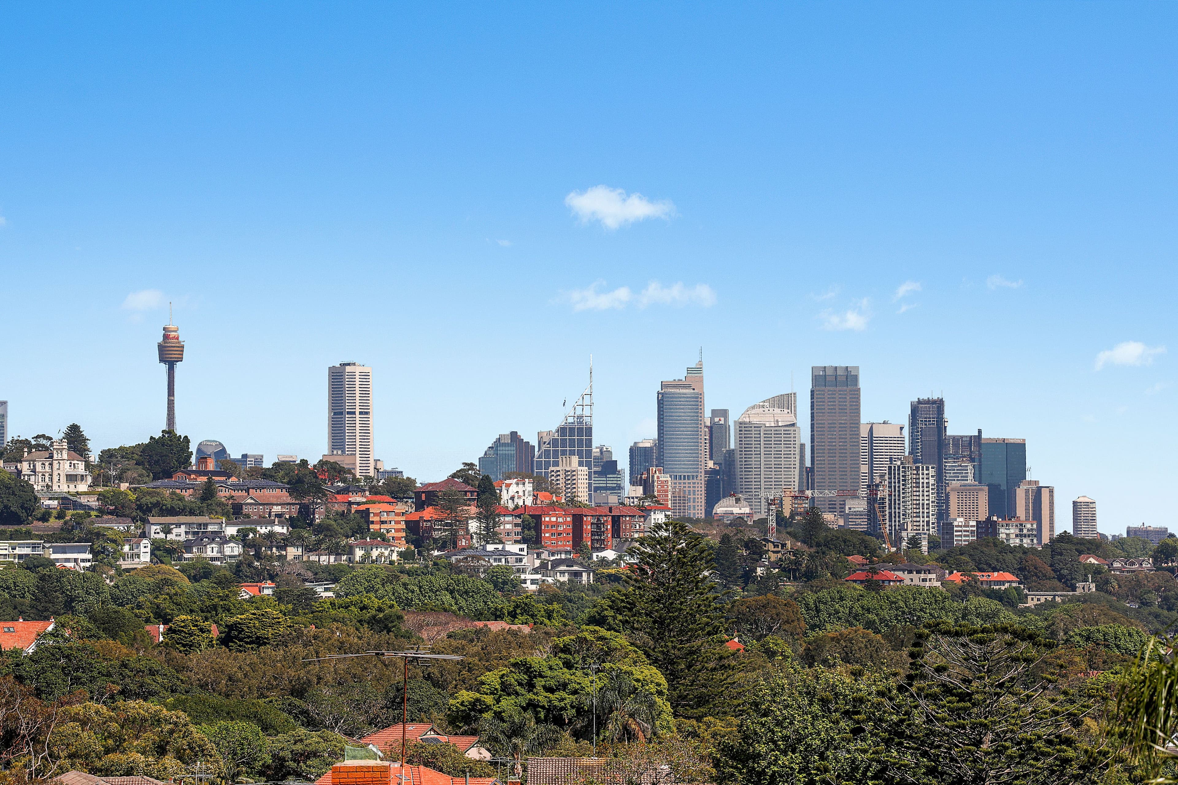 45 Liverpool Street, Rose Bay NSW 2029, Rose Bay - Thumbnail 4