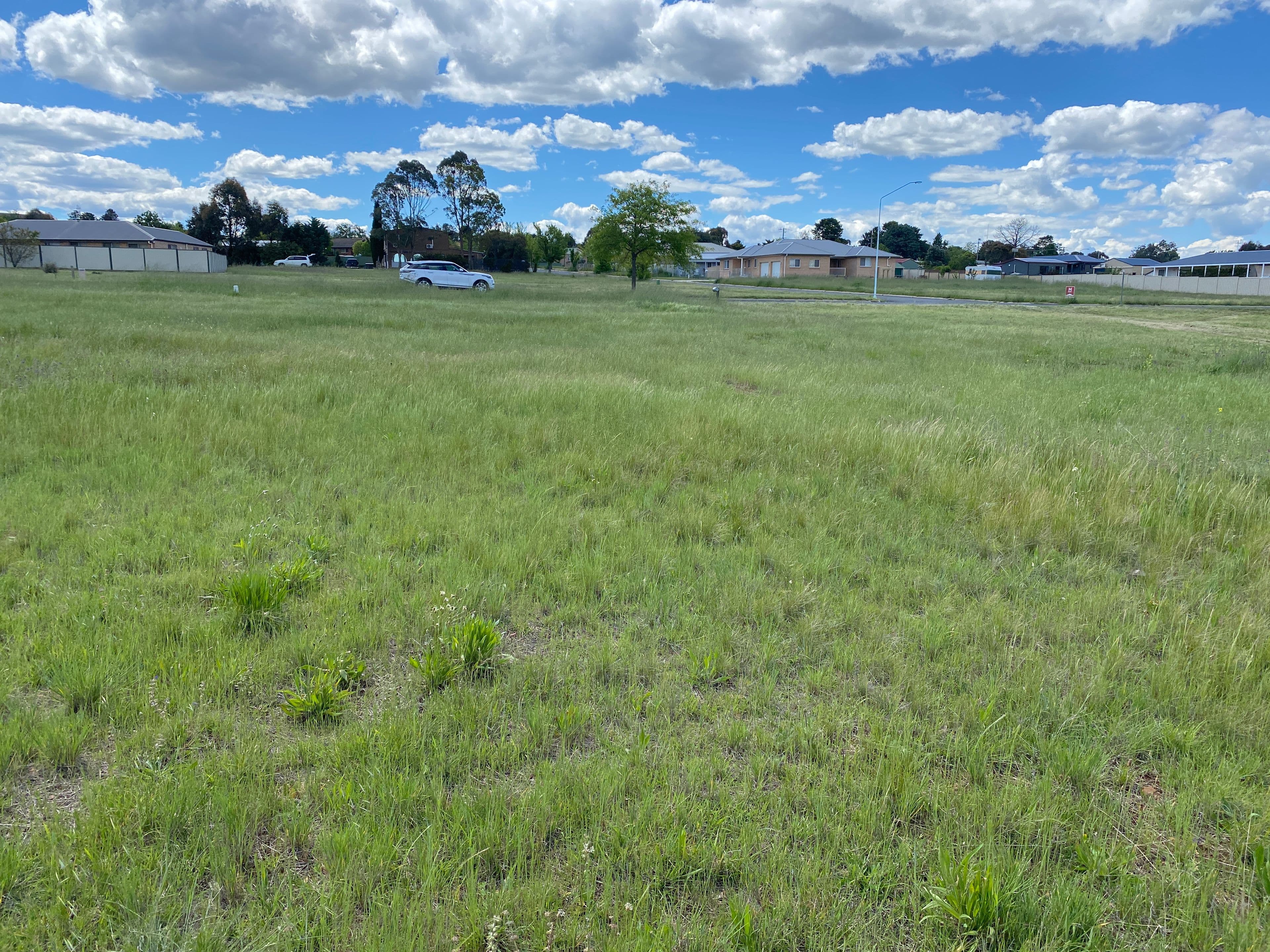 13 Gungarlin Street, Berridale NSW 2628, Berridale - Thumbnail 3