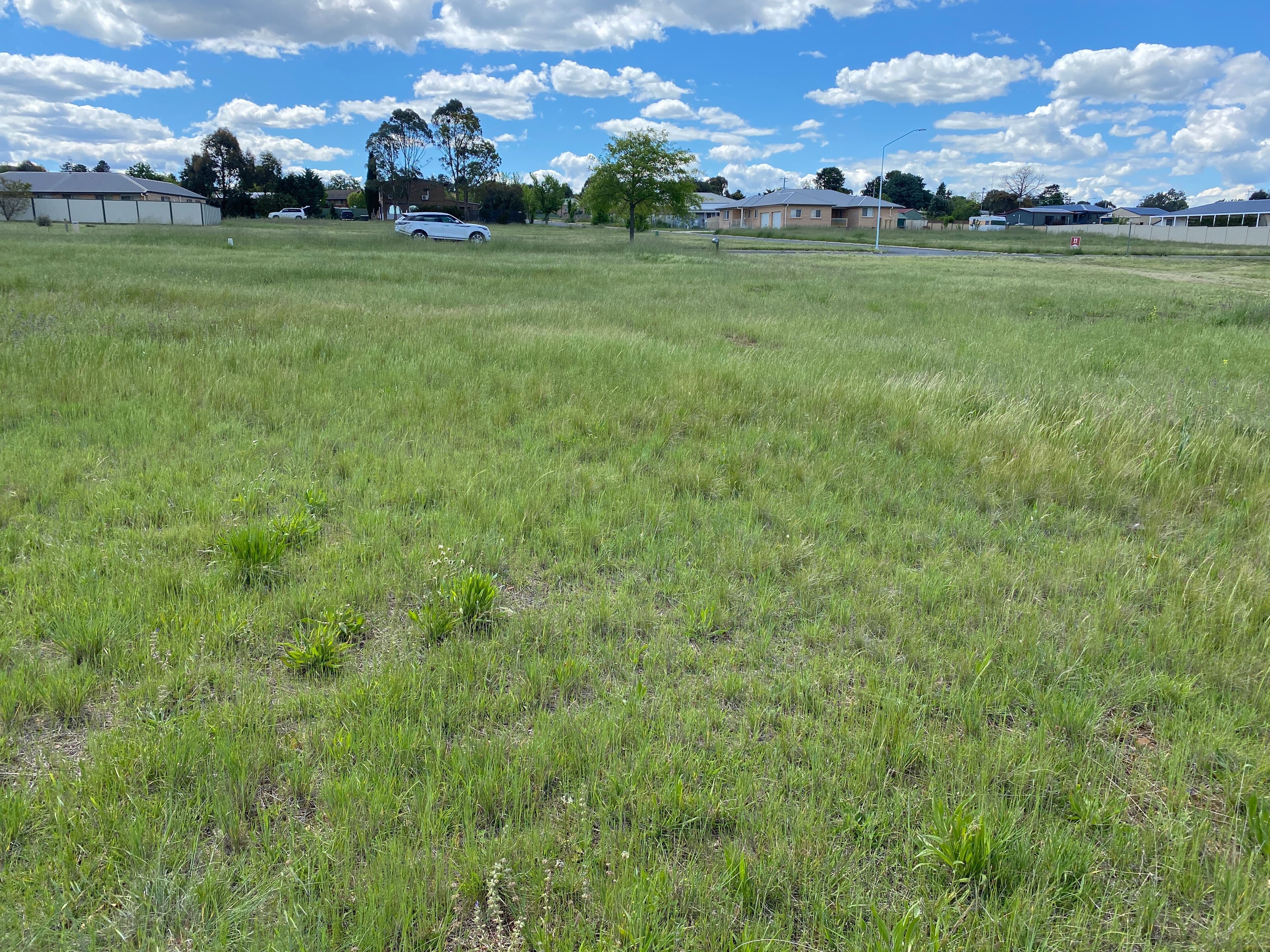 13 Gungarlin Street, Berridale NSW 2628, Berridale - Thumbnail 4