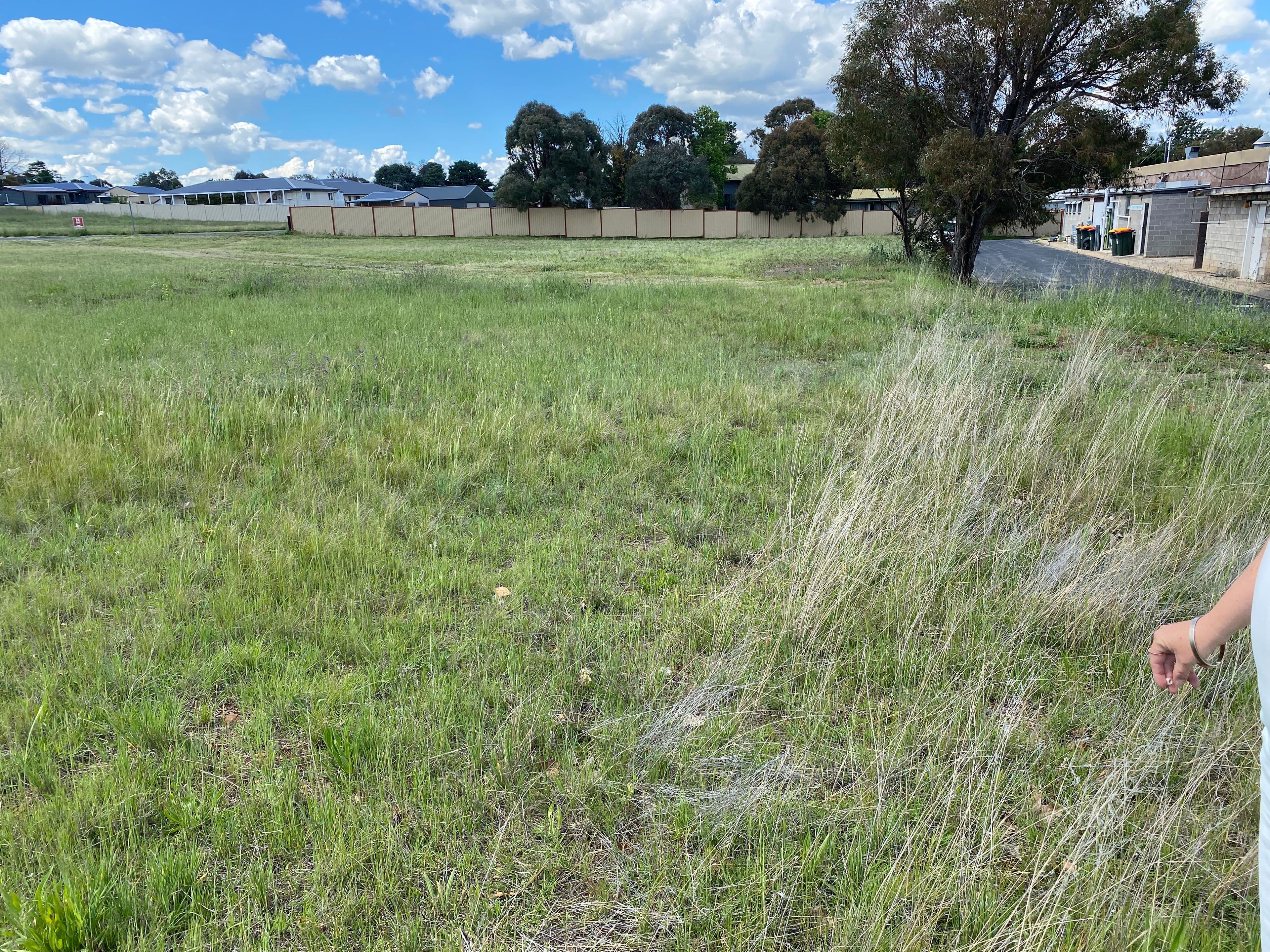 13 Gungarlin Street, Berridale NSW 2628, Berridale - Thumbnail 5