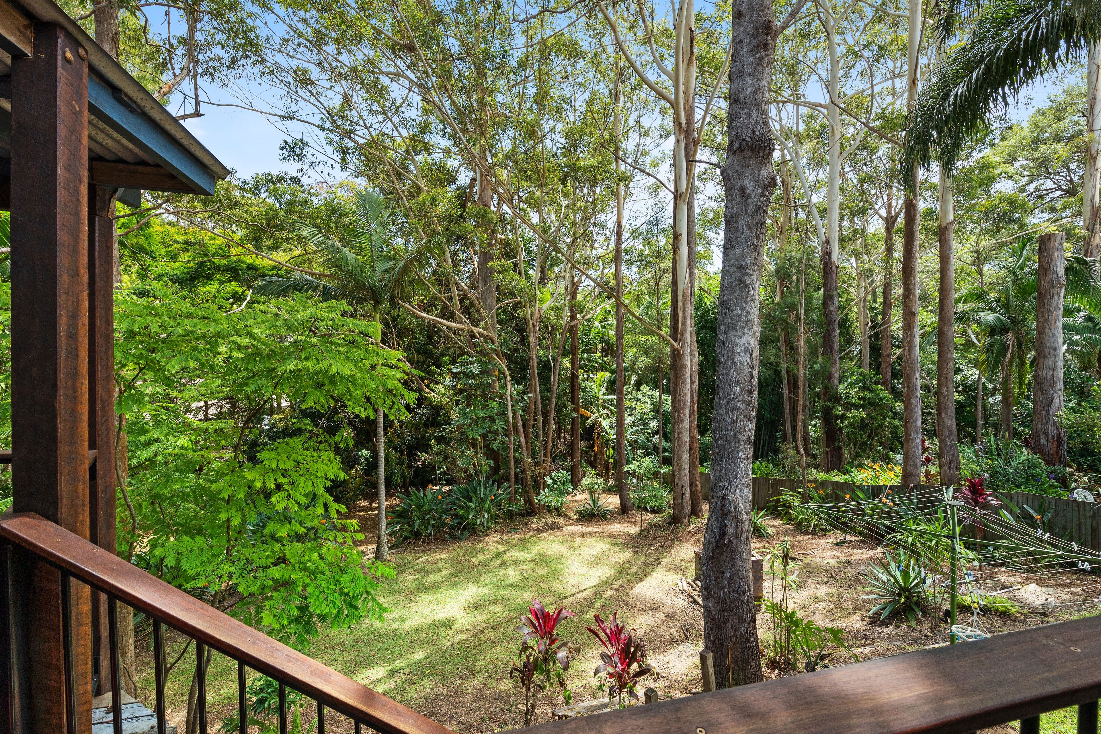 15 Palana Court, Buderim QLD 4556, Buderim - Thumbnail 5