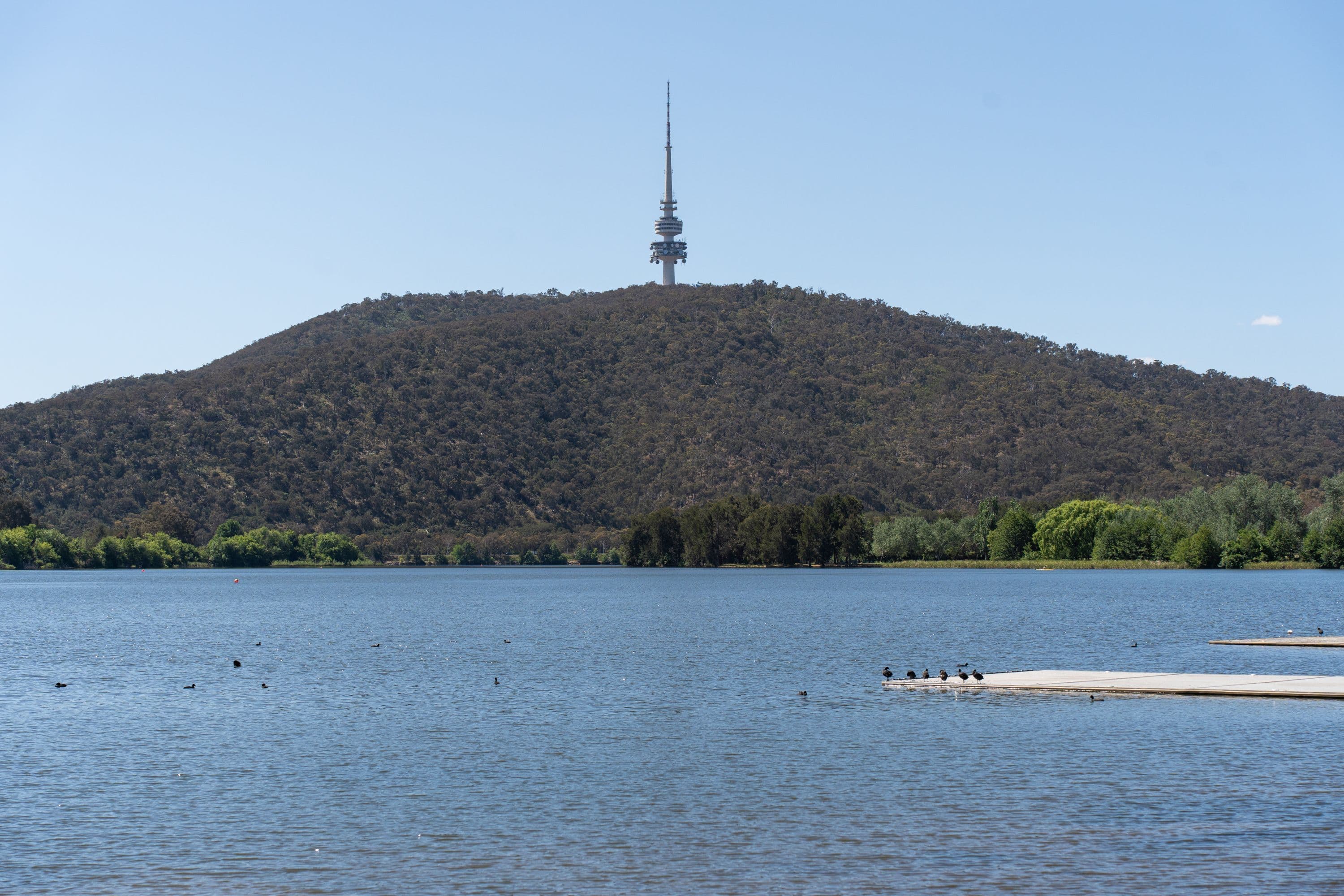 37 Turner Place, Yarralumla ACT 2600, Yarralumla - Thumbnail 2