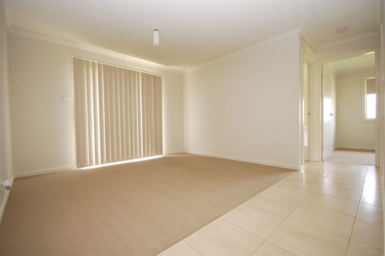 46 Gillmartin Drive, GRIFFITH NSW 2680, Griffith - Thumbnail 3