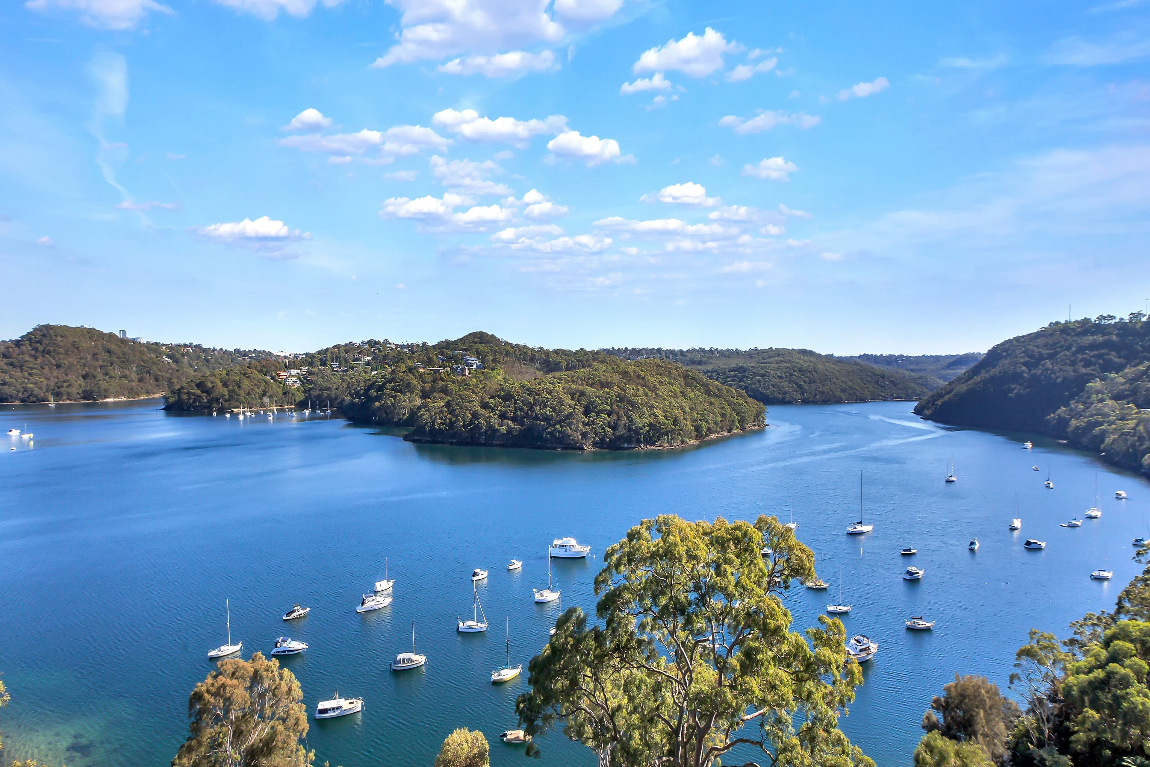 36 Gurney Crescent, Seaforth NSW 2092, Seaforth - Thumbnail 2