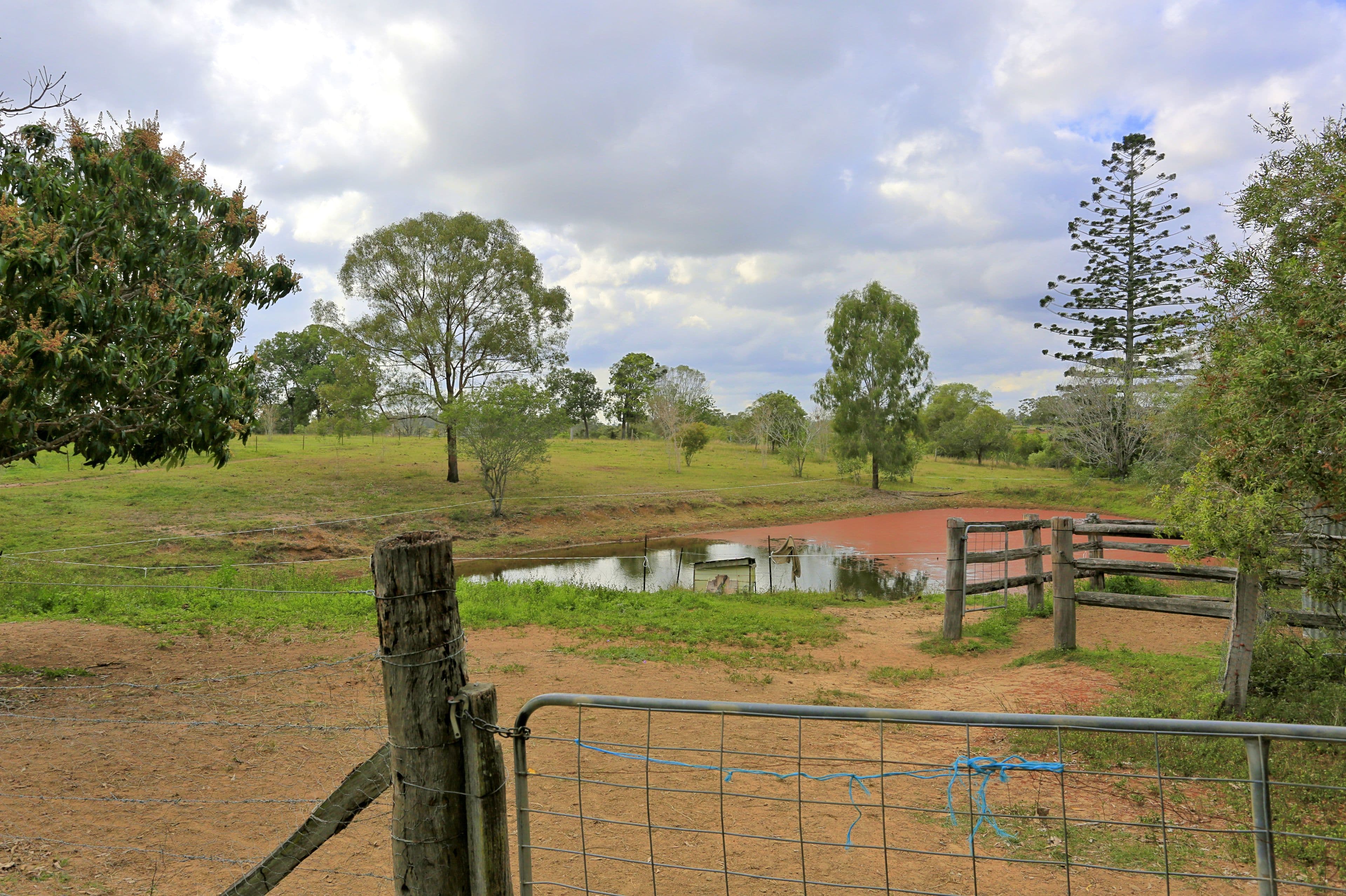 112 Klintstroms Road, Bungadoo QLD 4671, Bungadoo - Thumbnail 3