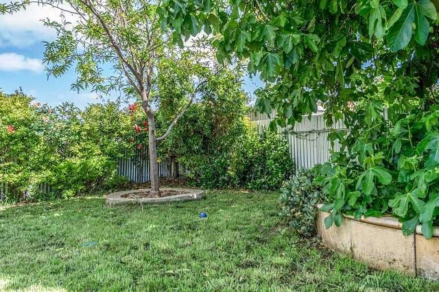 4 Lorne Street, ALBERT PARK SA 5014, Albert Park - Thumbnail 7