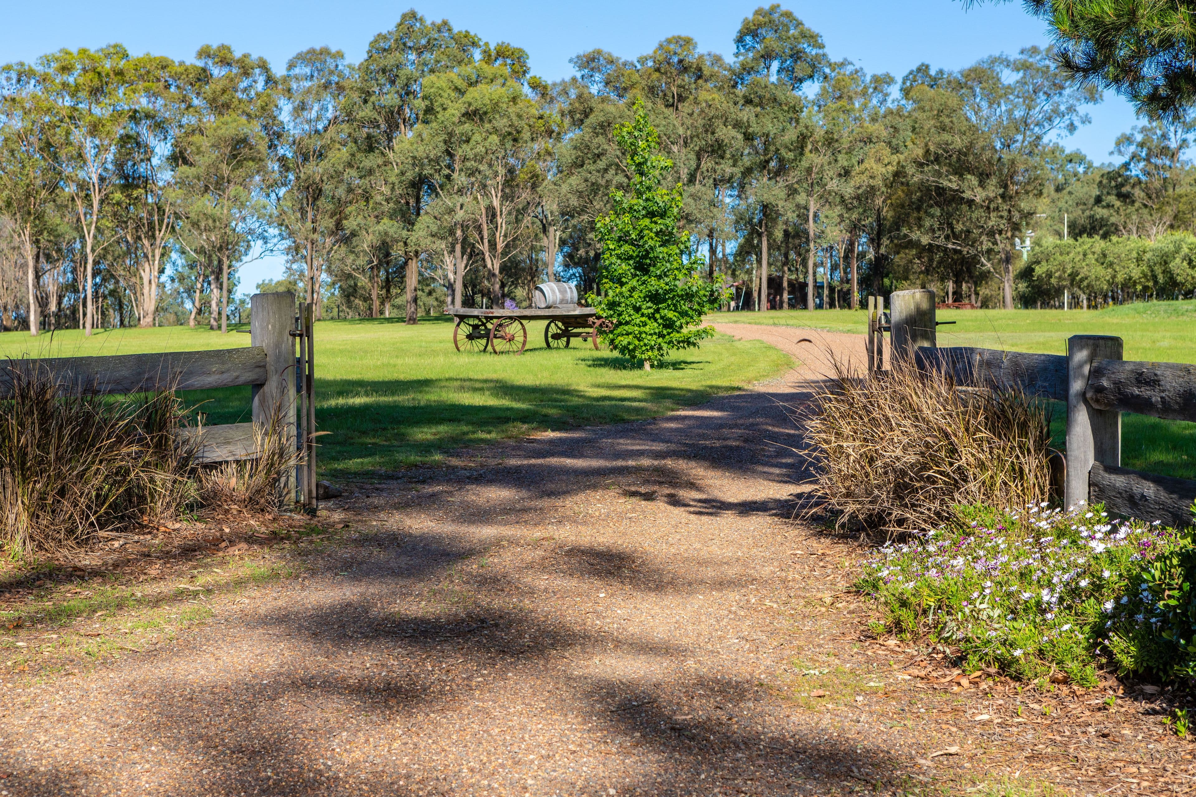 95 McCanns Road, Mount Duneed, VIC, Mount Duneed - Thumbnail 3