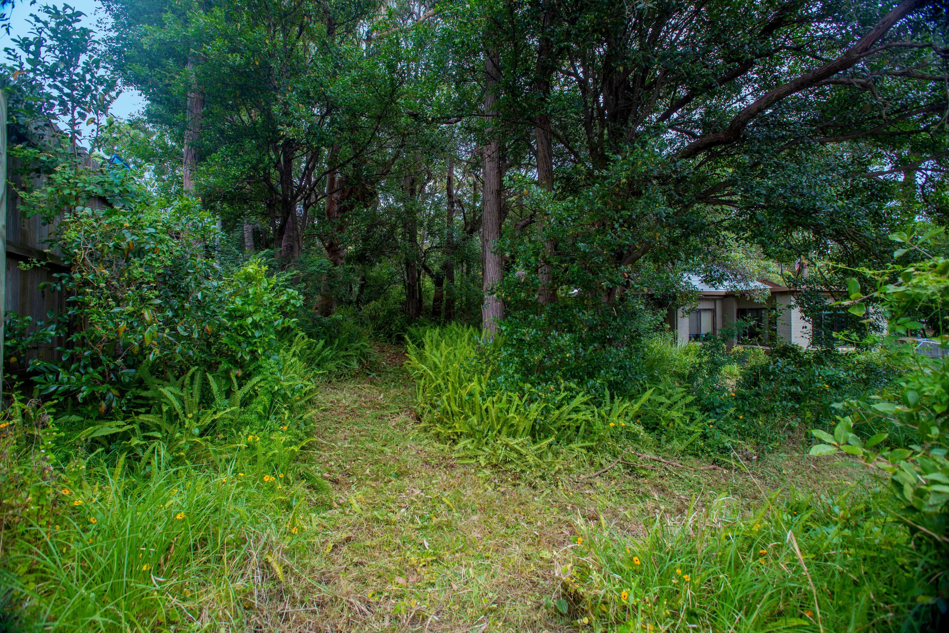55 The Scenic Road, Killcare Heights NSW 2257, Killcare Heights - Thumbnail 6