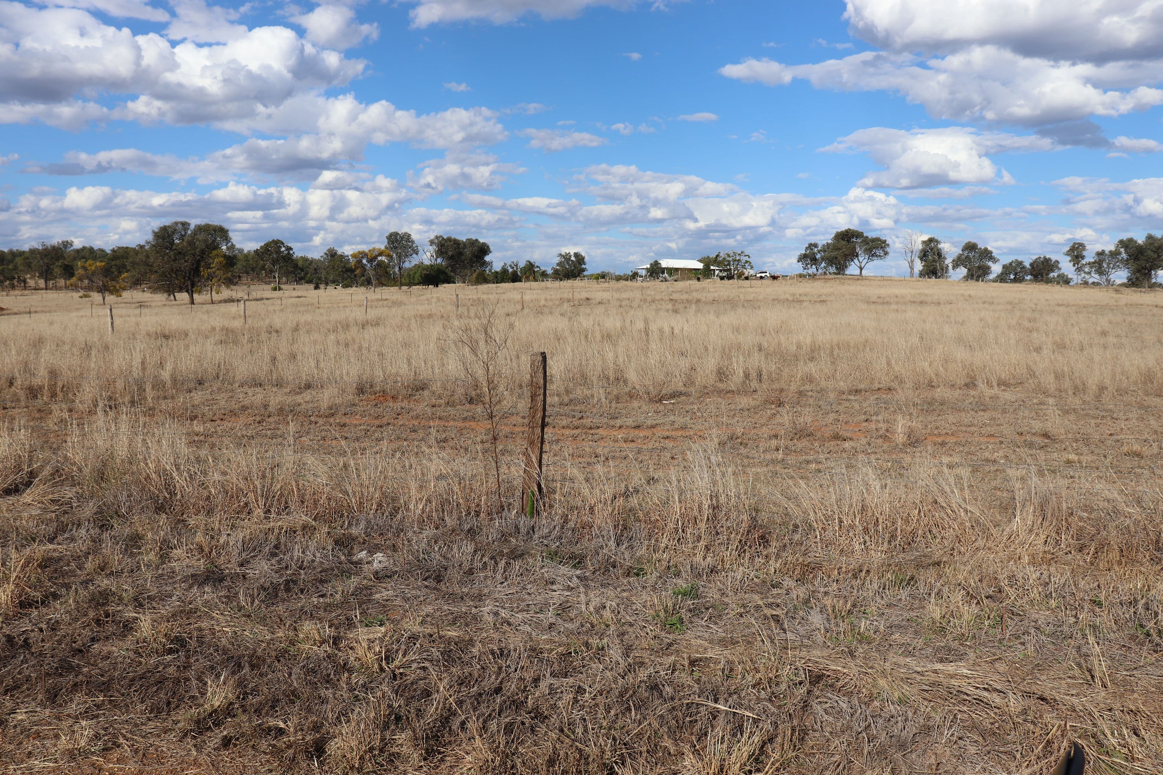 Lot 21 Frank McCauley Street, Mundubbera QLD 4626, Mundubbera - Thumbnail 3