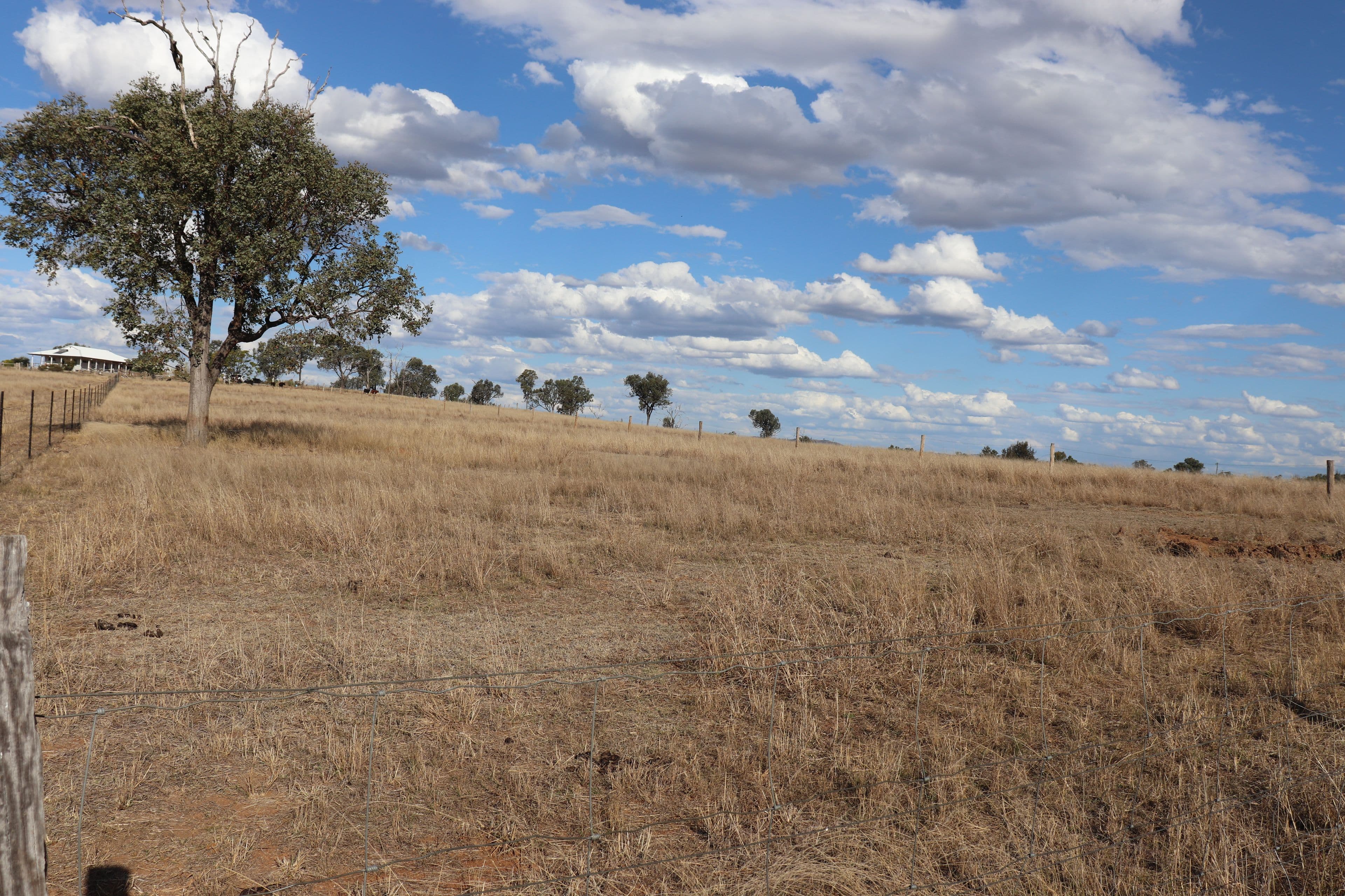 Lot 21 Frank McCauley Street, Mundubbera QLD 4626, Mundubbera - Thumbnail 5