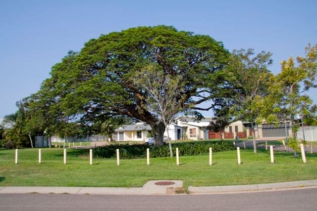 23 Riverwood Drive, IDALIA QLD 4811, Idalia - Thumbnail 4