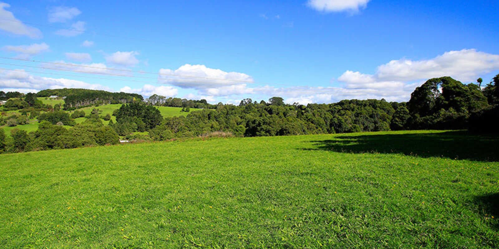 110 Hindmarsh Lane Robertson, Robertson - Thumbnail 5