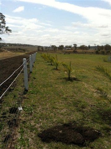 Lot 18 Morris-Ganzer Road, GOWRIE JUNCTION QLD 4352, Gowrie Junction - Thumbnail 2