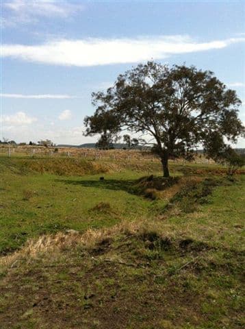Lot 18 Morris-Ganzer Road, GOWRIE JUNCTION QLD 4352, Gowrie Junction - Thumbnail 6