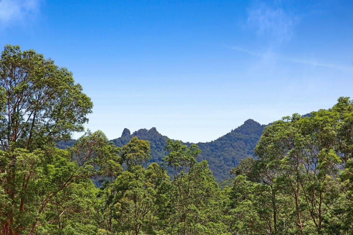 16 Araluen Road, Tallebudgera Valley QLD 4228, Tallebudgera Valley - Thumbnail 5