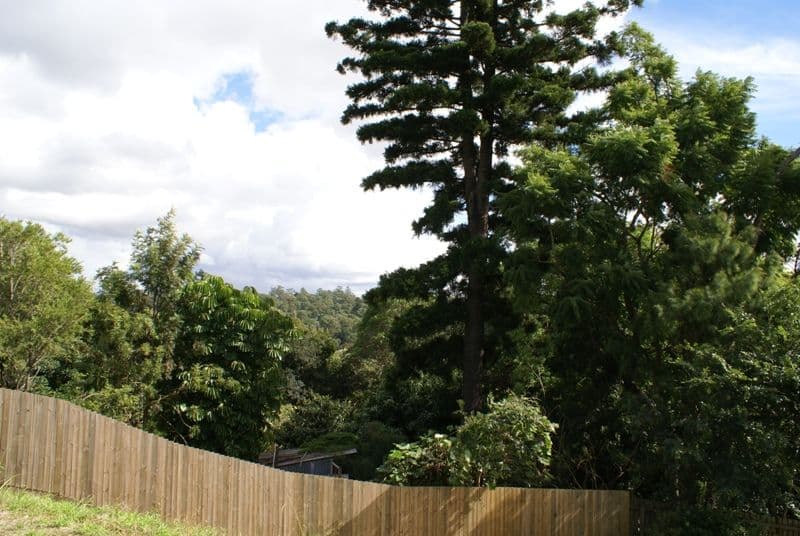 186 Cliveden Avenue, CORINDA QLD 4075, Corinda - Thumbnail 2