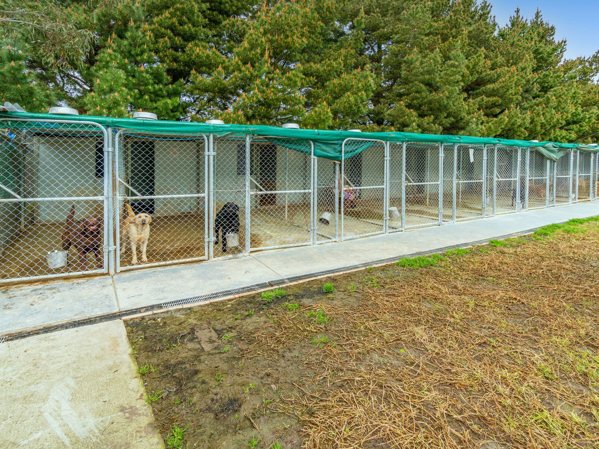 141 Ingliston-Settlement Road, Ingliston VIC 3342, Ingliston - Thumbnail 7