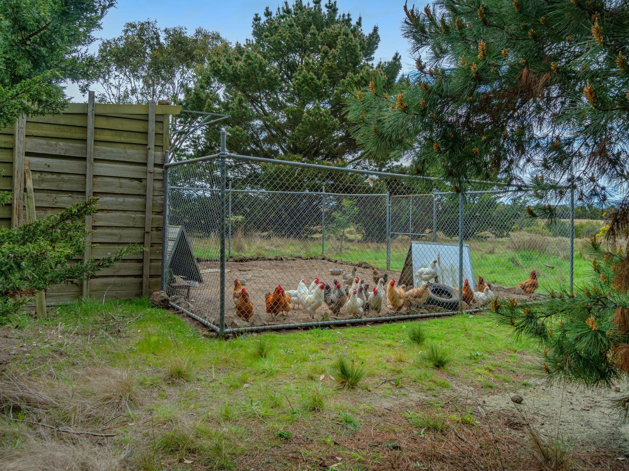 141 Ingliston-Settlement Road, Ingliston VIC 3342, Ingliston - Thumbnail 8