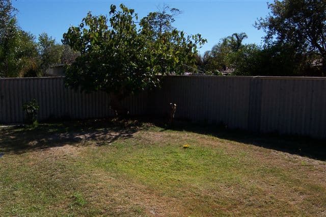 560 Light Street, DIANELLA WA 6059, Dianella - Thumbnail 4