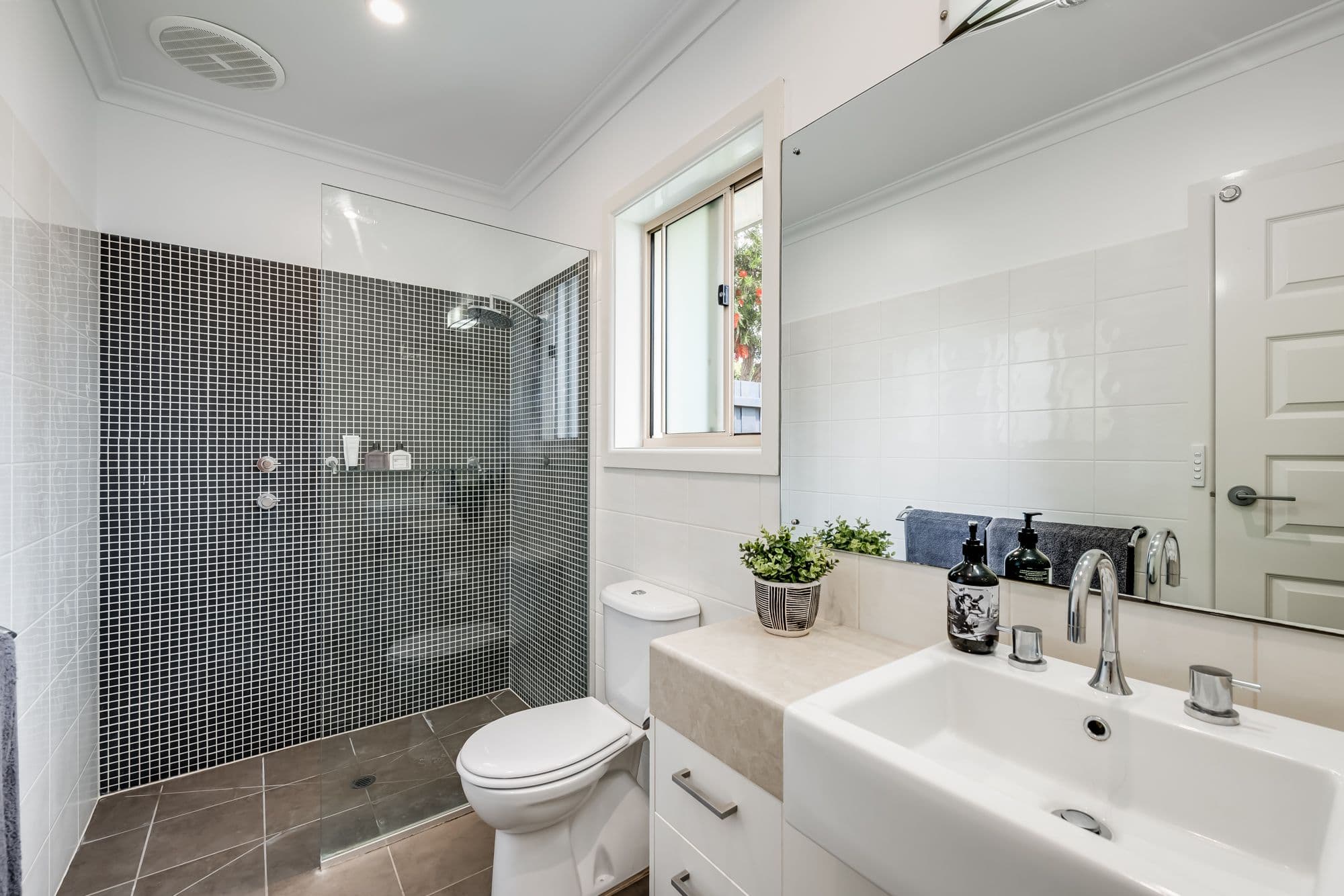 11 Young Street, Penola SA 5277, Penola - Thumbnail 5