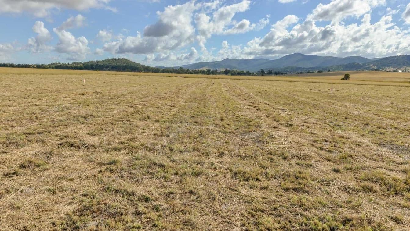 24 Jubata Drive, TAMWORTH NSW 2340, Tamworth - Thumbnail 7