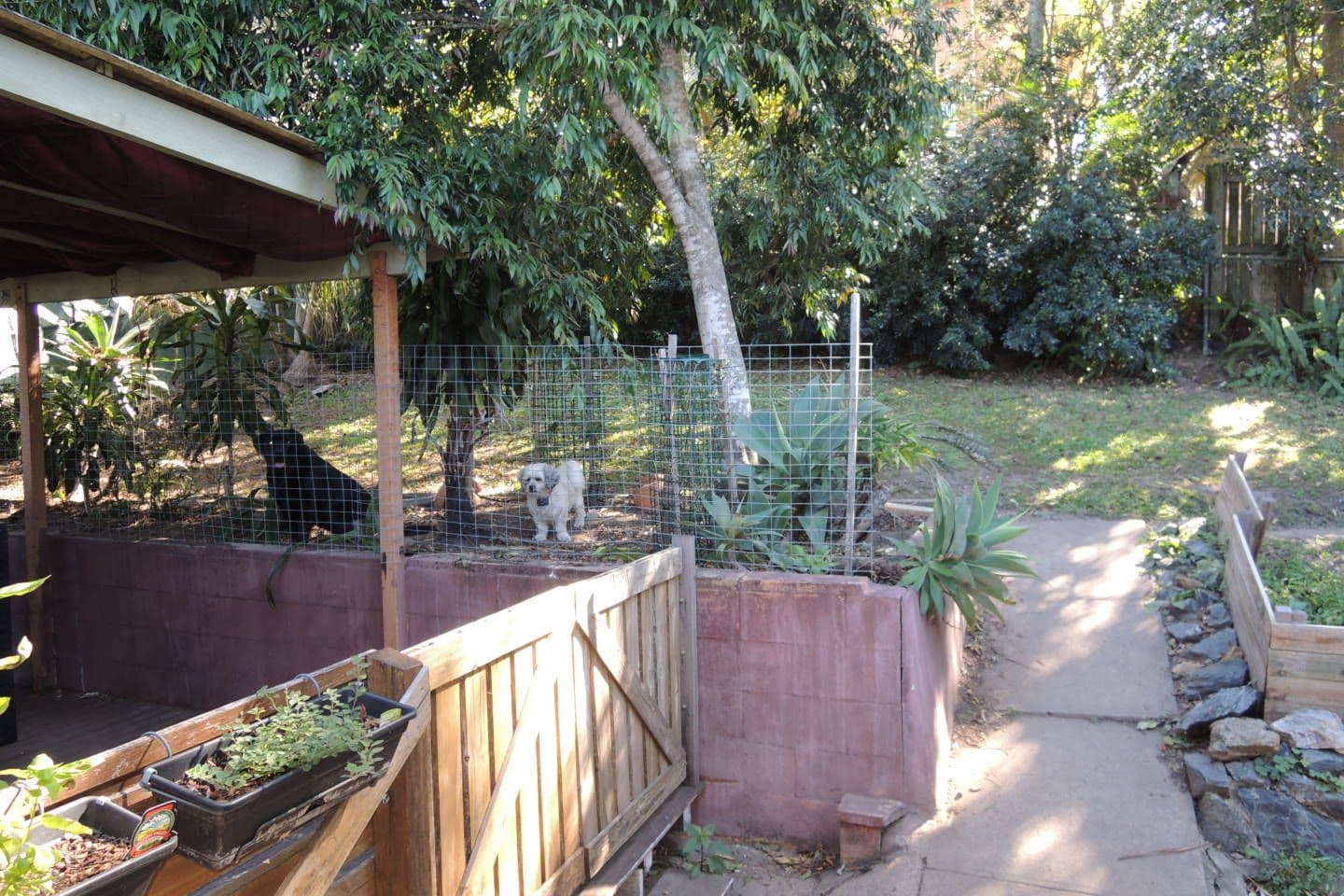 36 Todman Street, Carina QLD 4152, Carina - Thumbnail 8