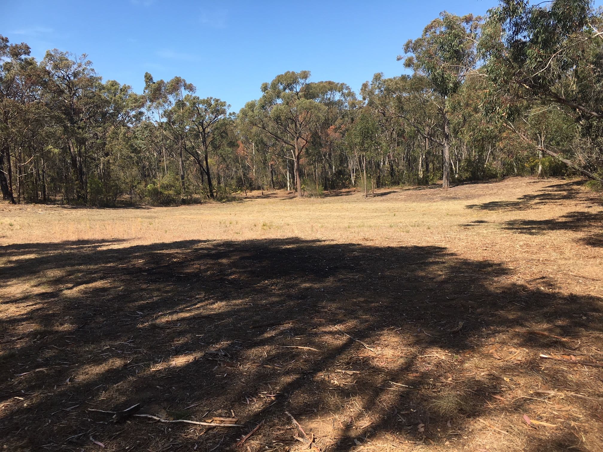 3 Emily Street, Balmoral NSW 2571, Balmoral - Thumbnail 4