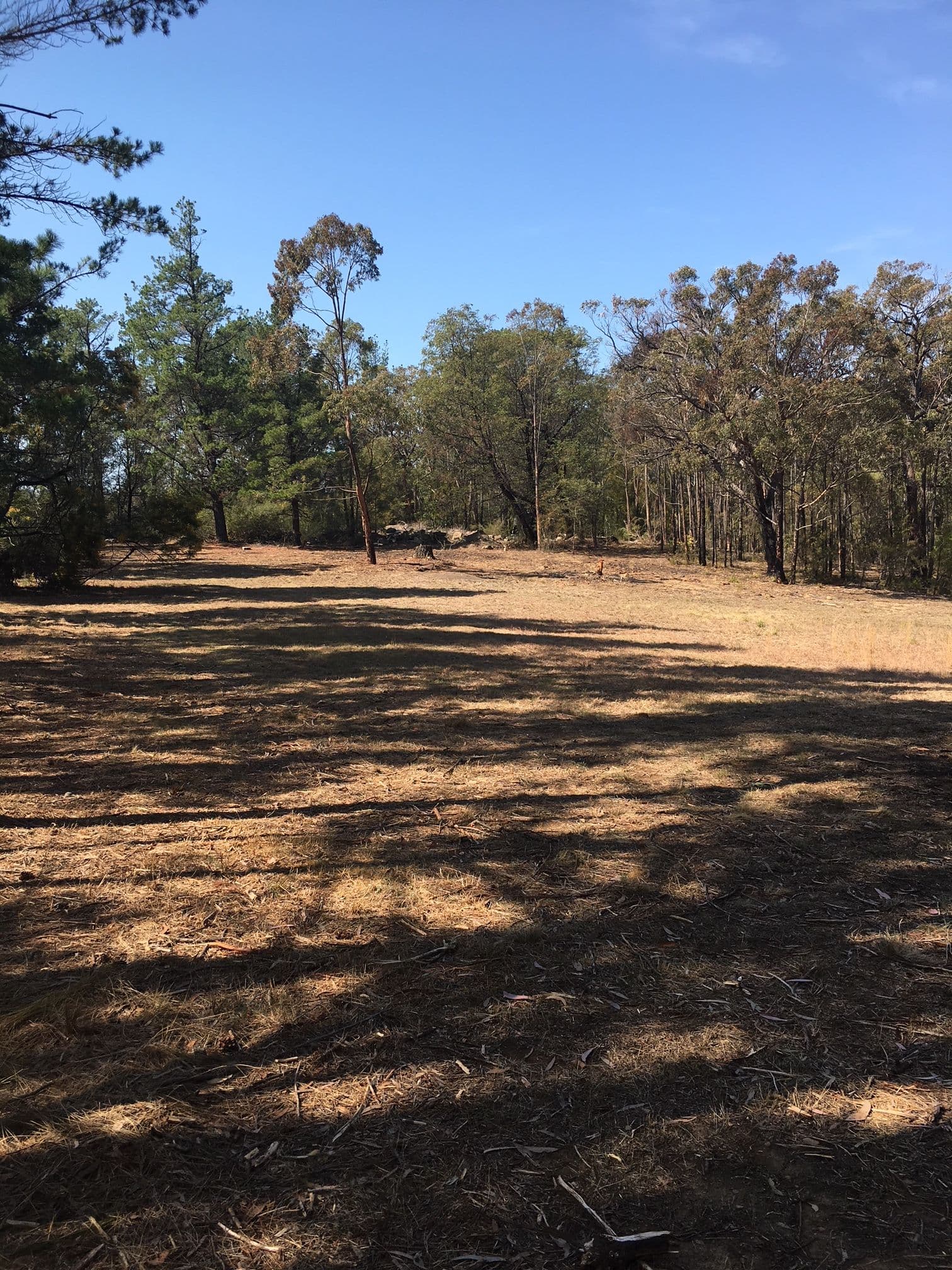 3 Emily Street, Balmoral NSW 2571, Balmoral - Thumbnail 5