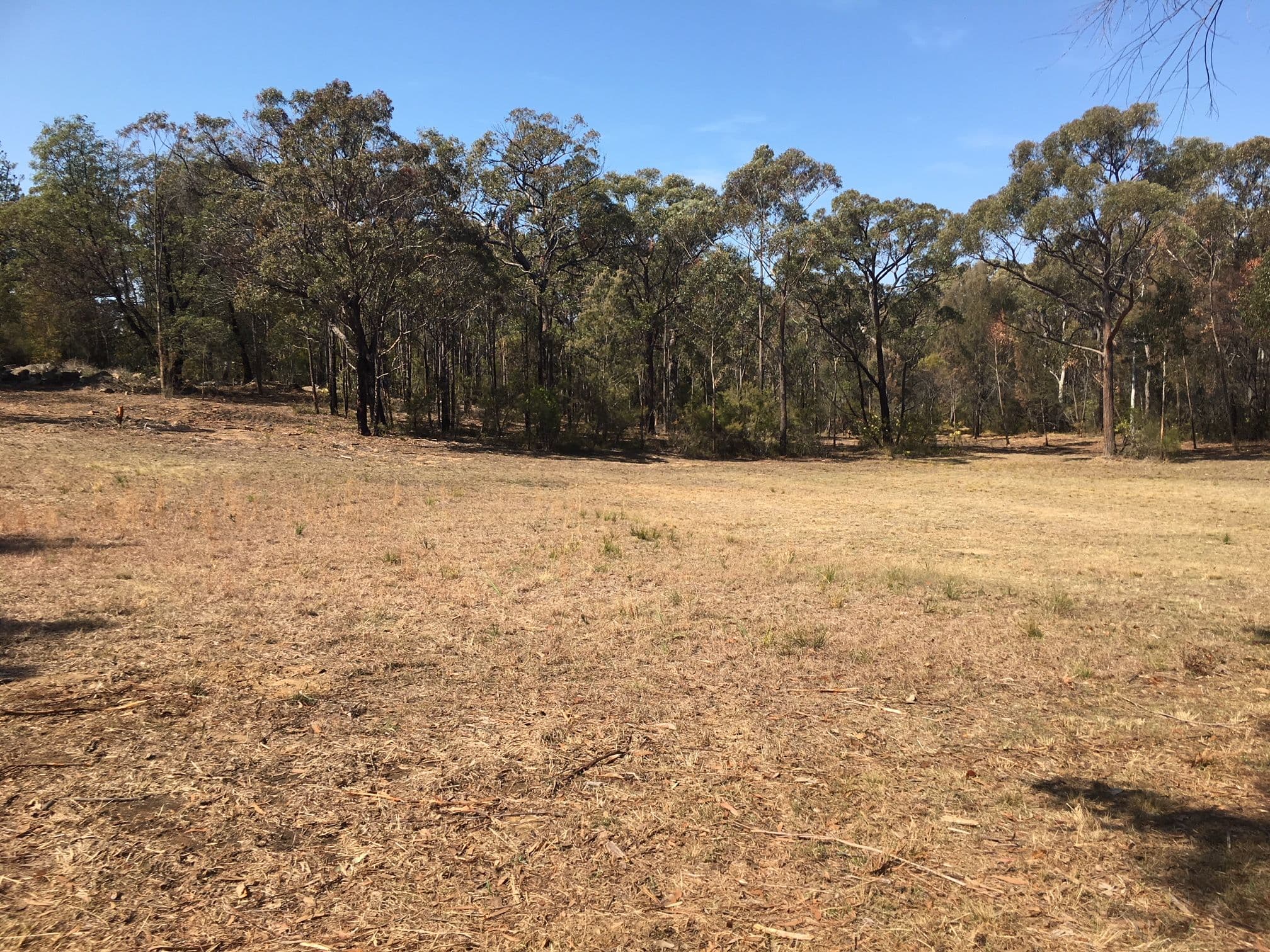 3 Emily Street, Balmoral NSW 2571, Balmoral - Thumbnail 6