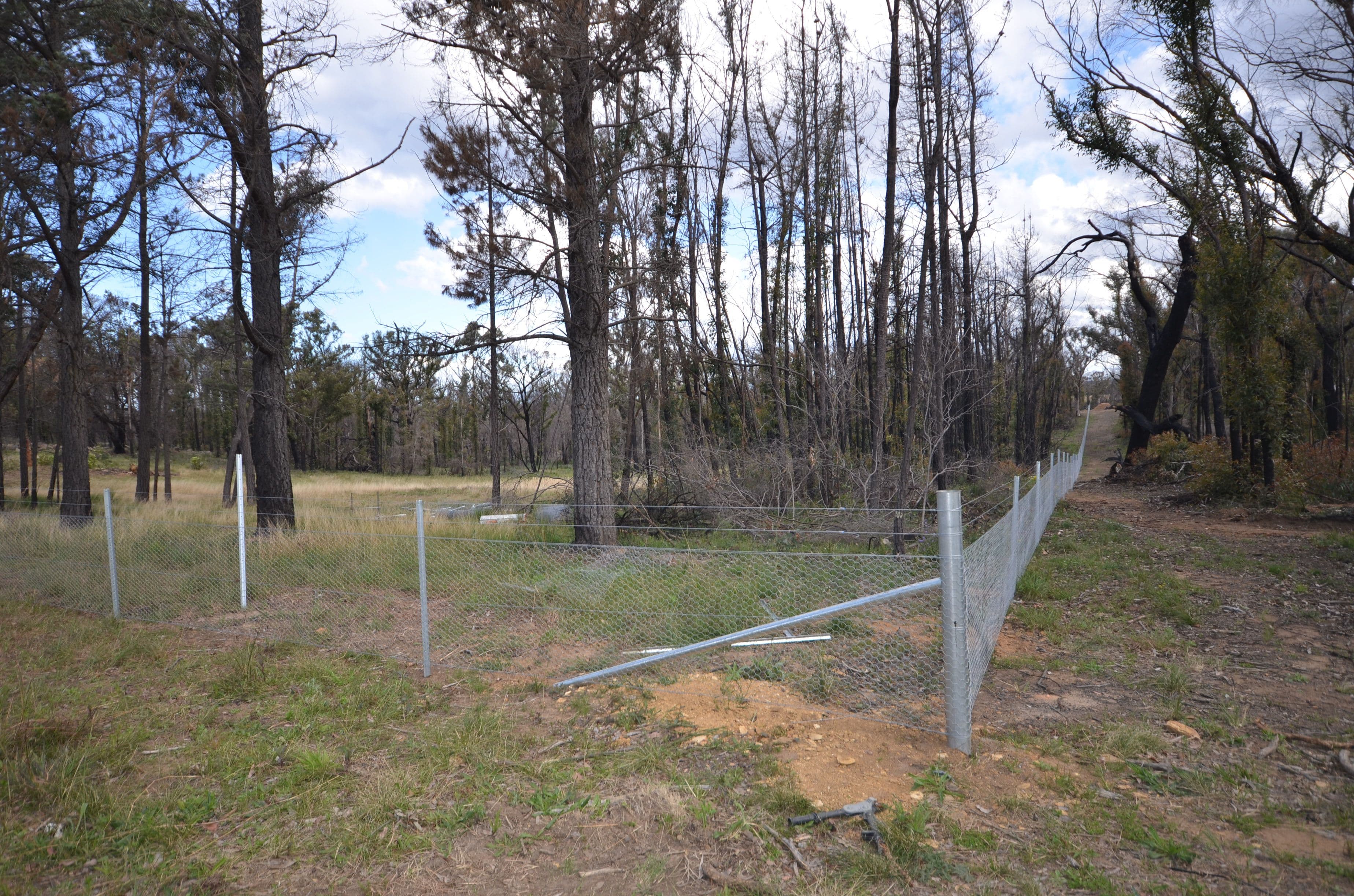 3 Emily Street, Balmoral NSW 2571, Balmoral - Thumbnail 8