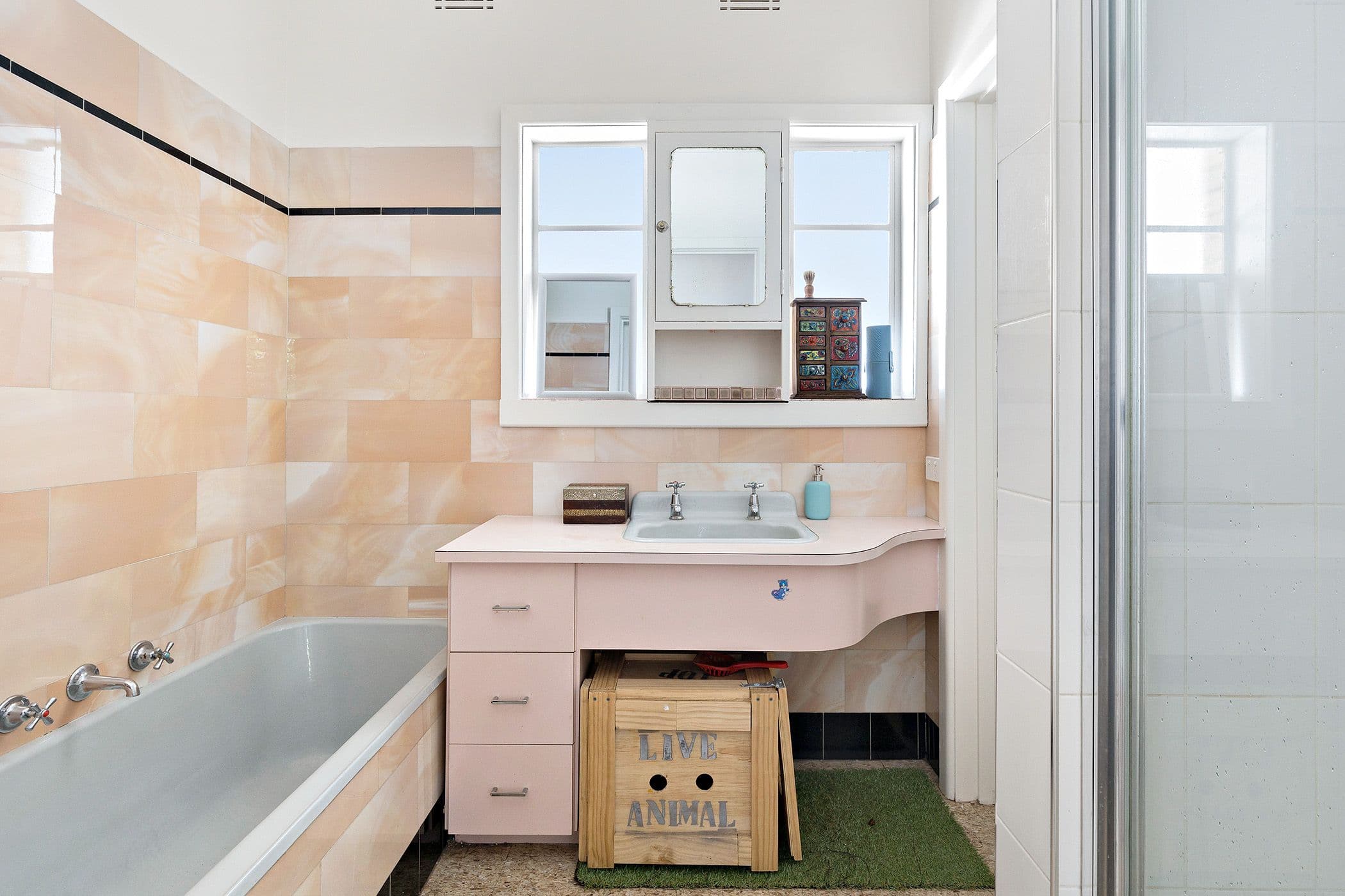 49 McSwain Street, Parkdale VIC 3195, Parkdale - Thumbnail 5