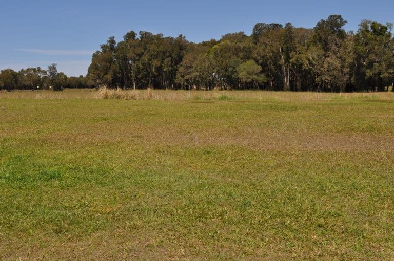 9 Harold Tory Drive, YAMBA NSW 2464, Yamba - Thumbnail 2