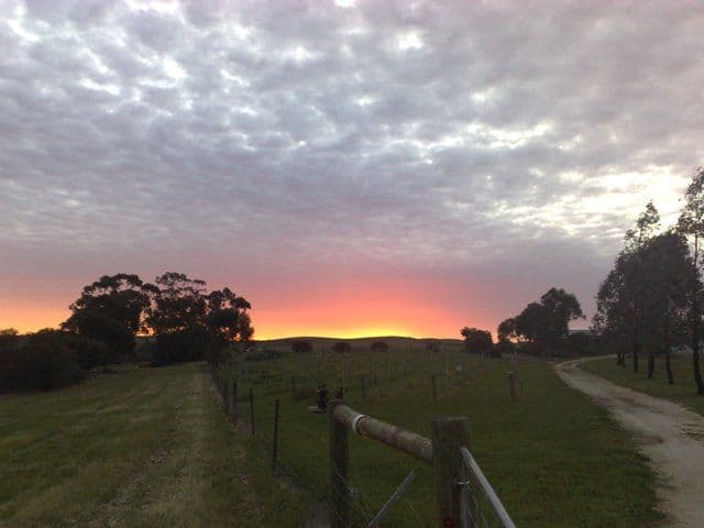 Lot 367 Government Road, LEASINGHAM SA 5452, Leasingham - Image 1