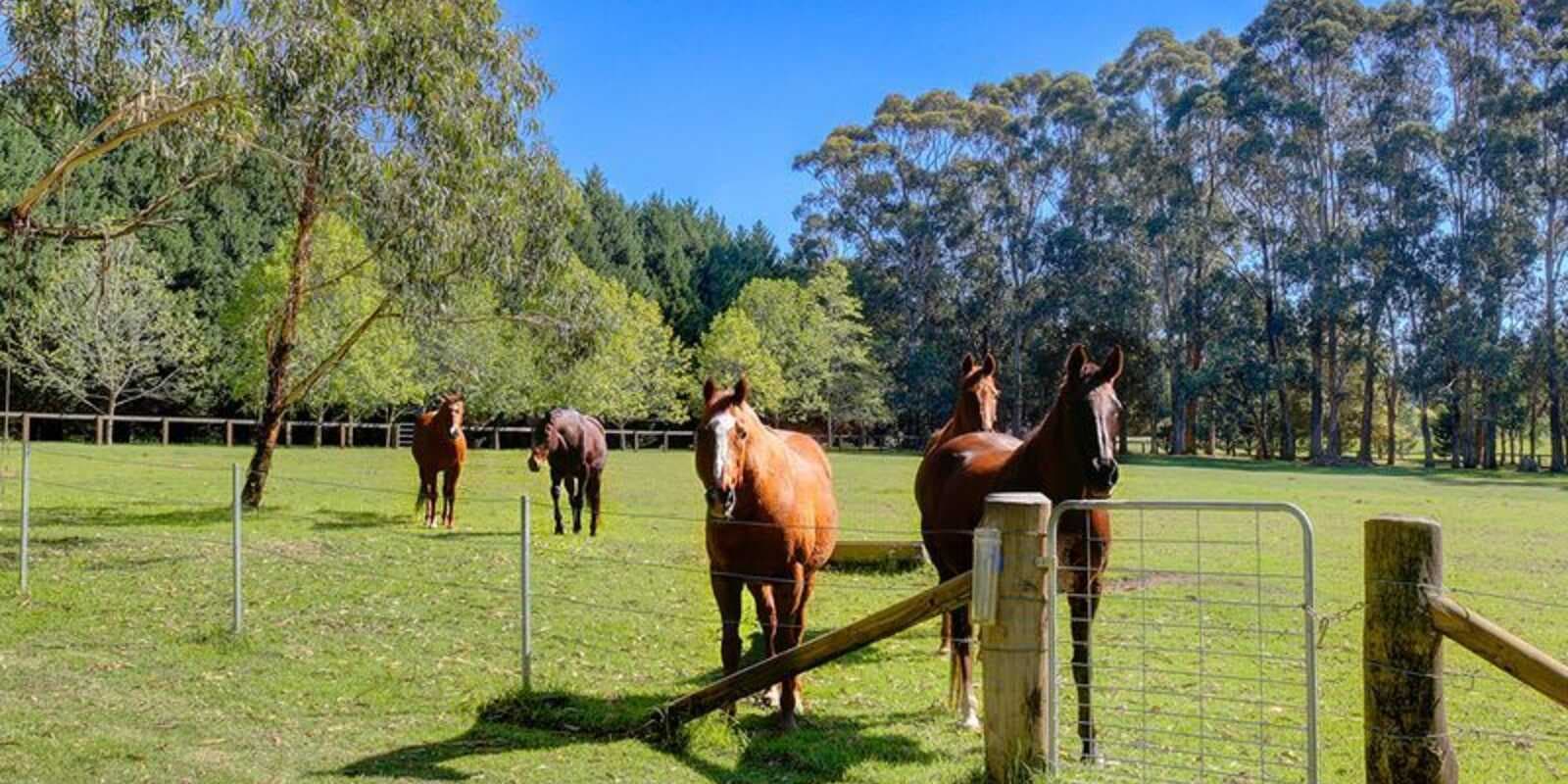 53 Ringwood Lane Exeter, Exeter - Thumbnail 2