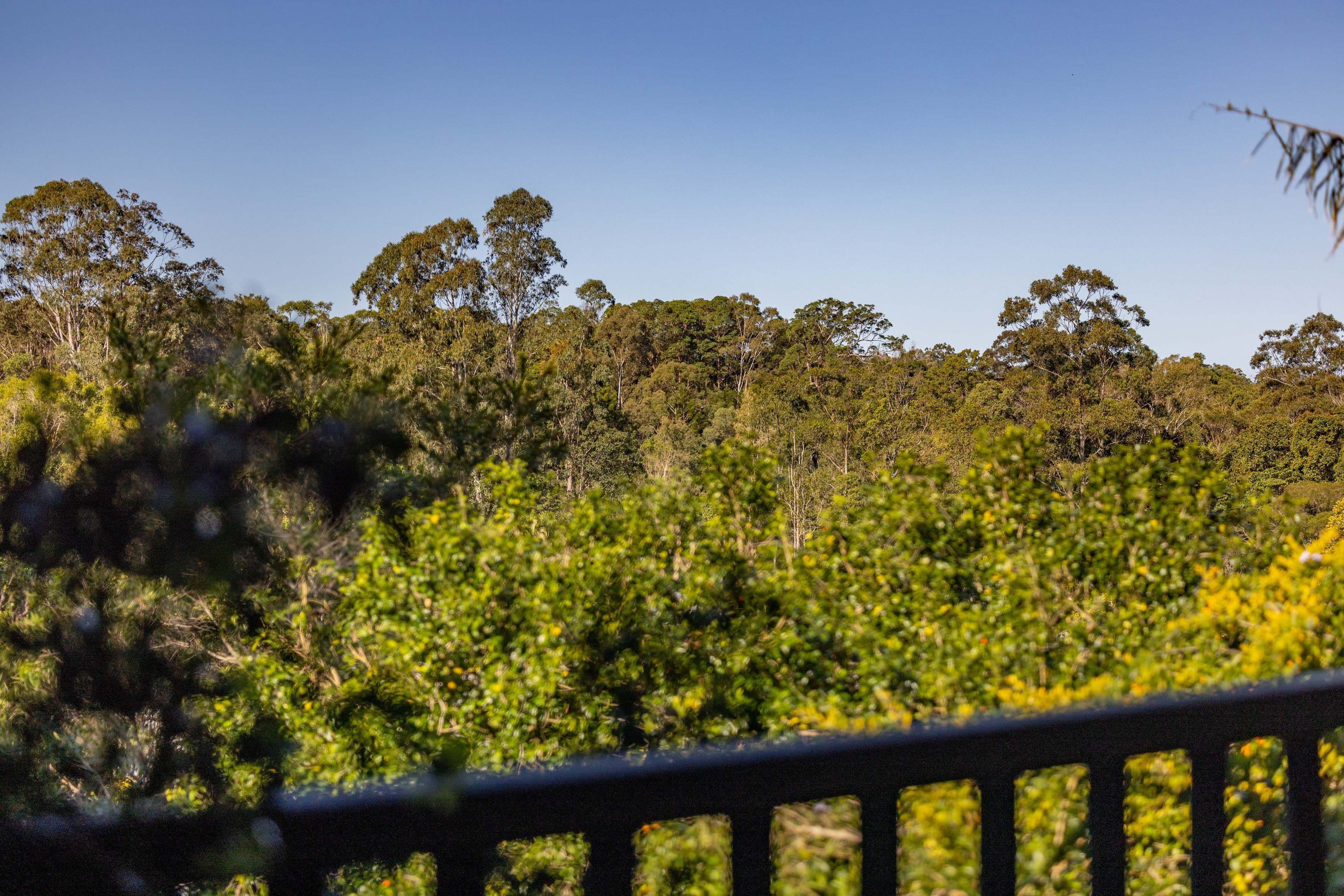 89 Ballinger Road, Buderim QLD 4556, Buderim - Thumbnail 4