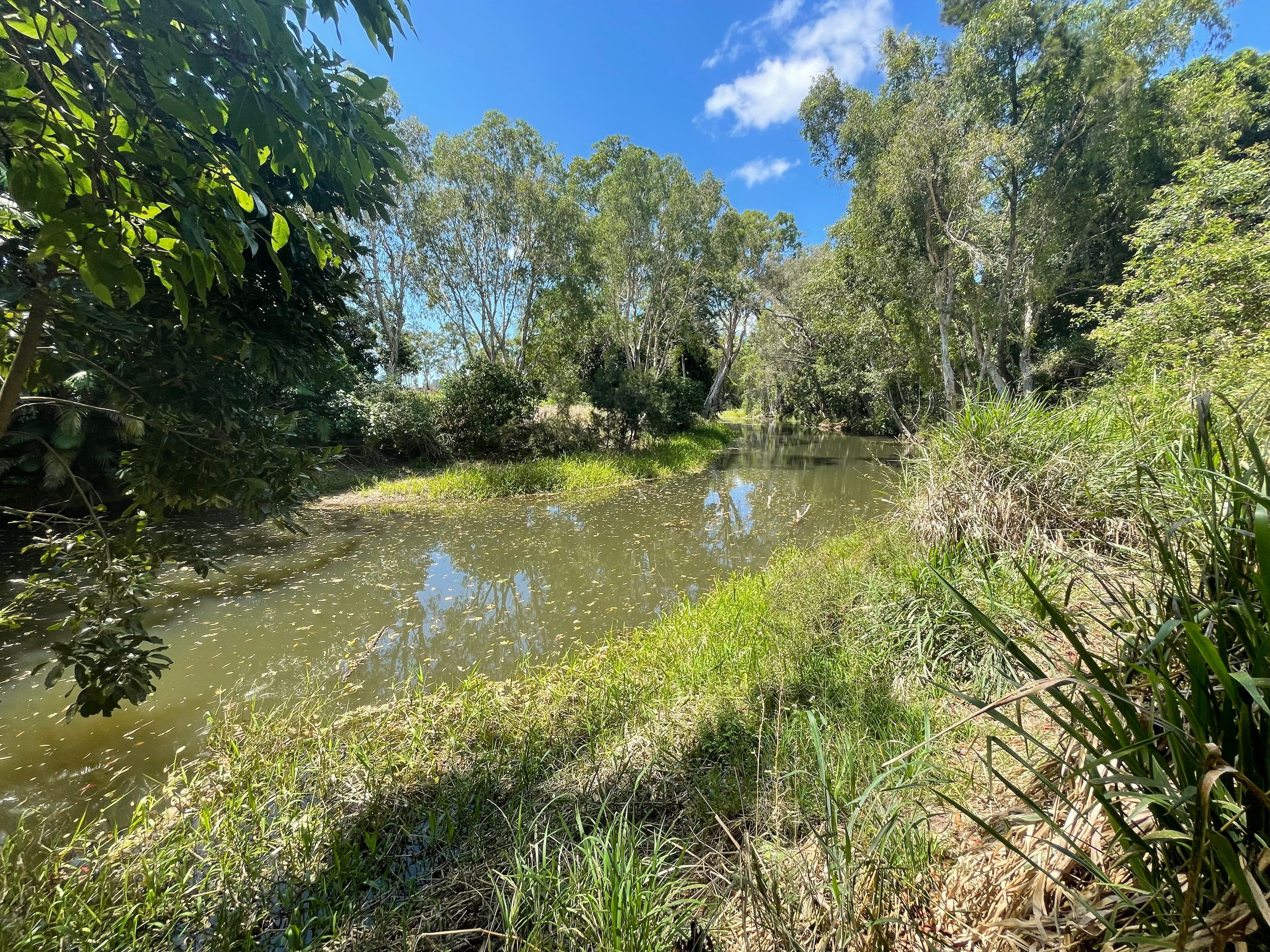 94 Marion Settlement Notch Point Road, Ilbilbie QLD 4738, Ilbilbie - Thumbnail 6